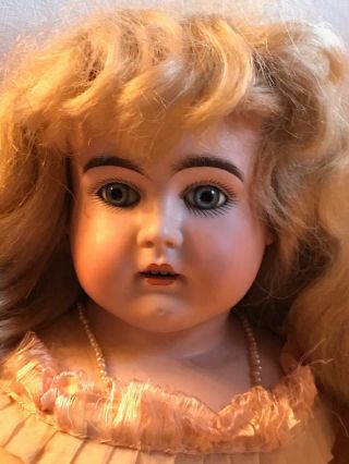 Vintage German Bisque Head Doll 28” / Glass Eyes - Cloth Body