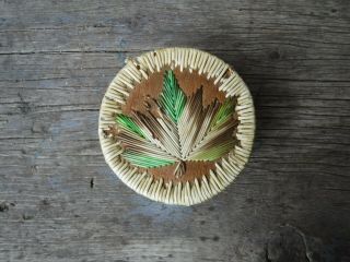 Vintage Birch Bark Quill Maple Leaf Box