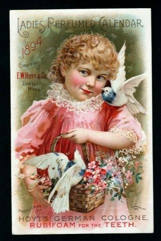 1894 Calendar Trade Card - Hoyt 
