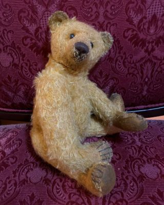 13 " Vintage Beige Mohair Teddy Bear By Artist Bonnie Windell Of Windlewood Bears