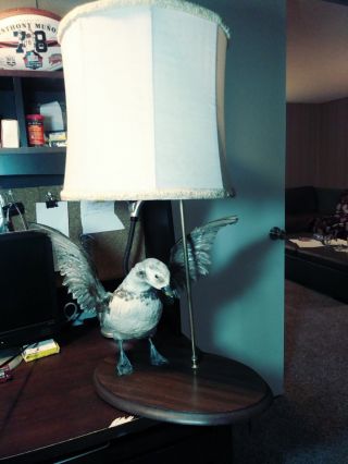 Vintage " Old Squaw " Lamp Taxidermy Mounted Duck Hen Hunting Bird Lighted Lamp