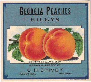 Georgia Peaches,  Hileys Vintage Crate Label E.  H.  Spivey Talbotton,  Ga.