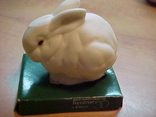 Dept.  56 Clip On Snowbunny Ornament 8350 - 0,  Bottom Of Package Only