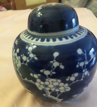 Antique Kangxi Blue & White Porcelain Ginger Jar With Lid,