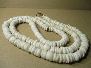 Vintage Huge Puka Shell Necklace 108 Grams 32” Hawaii
