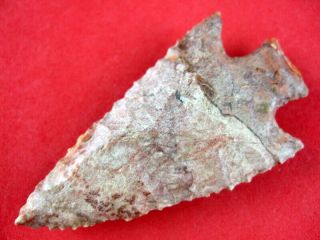 Fine Authentic 2 7/8 inch Tennessee Buck Creek Point Indian Arrowheads 3
