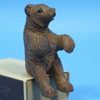 Antique Swiss Black Forest Wood Carving Sitting Bear Brienz Glass Eyes C1920