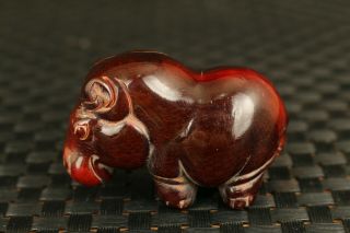 Unique Chinese Old Yak Horn Hand Carved Rhinoceros Statue Netsuke