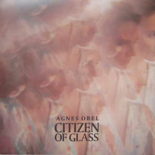 Agnes Obel Citizen Of Glass LP VINYL Play It Again Sam [PIAS] 2016 2