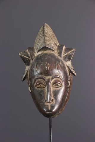 Baoule Passport Mask African Tribal Art Africain Africana Afrikanische Kunst