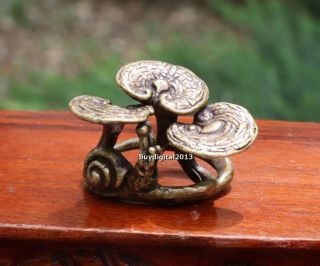 5 Cm Chinese Bronze Auspicious Glossy Ganoderma Ganodorma Turbo Snail Sculpture