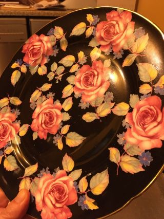 Art Deco Vintage Paragon Porcelain Pink Cabbage Rose Plate Black Background