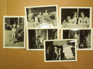 Vintage 40s 50s Risque Nude Burlesque Photo - Pacific Cine Films & Hollywood Art