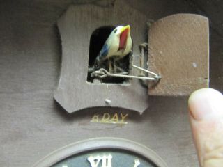 Vintage Germany Cuckoo Clock For Repair or Parts (4) 2