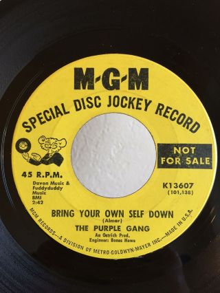 Garage Psych Promo 45 The Purple Gang Bring Your Own Self Down Mgm Hear