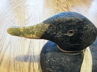 ANTIQUE VINTAGE SOLID WOOD DUCK DECOY GLASS EYES MAKER UNKNOWN 2