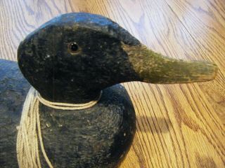ANTIQUE VINTAGE SOLID WOOD DUCK DECOY GLASS EYES MAKER UNKNOWN 3