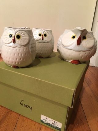 Japanese Kotobuki 3 - Pc Owl Tea Pot Cups Gift Box Set Japan 110 - 543