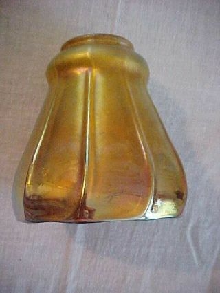 Steuben Aurene Tiffany Favrile Gold Iridescent Art Glass Lamp Shade 2 - 1/4 " A