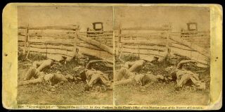 Stereoview Photograph Civil War Confederate Dead Battle Of Antietam By Gardner