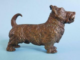 Charming Antique Cast Bronze Scottish Yorkshire Terrier Dog Figure 1900s