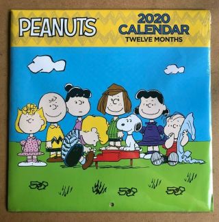 Peanuts Gang 2020 Wall Calendar Charlie Brown Snoopy Linus Lucy 12 Month Shultz