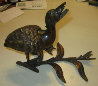 Unusual antique Victorian figural bronze trinket box - screaming bird 2