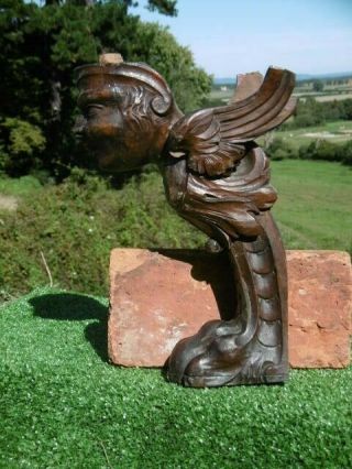 Pr 19thc Gothic Oak Carved Winged Figureheads Claw Foot Corbel C.  1860