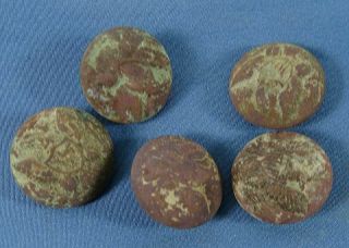 5 Civil War 3/4 " Eagle Buttons Dug Up In Fredericksburg In The 1960 