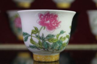 Collectable Decor Rare Porcelain Paint Beauty 12 Set Flower Fairy Exquisite Cup 2