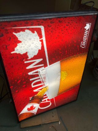 Collectible Molson Canadian Beer Light Box