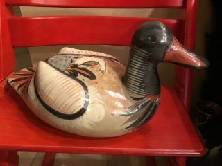 Large Vintage 17” Mexican Folk Art Tonala Hand Painted Pottery Duck Or Goose