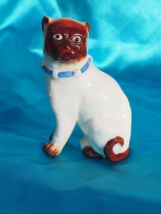 Antique Porcelain Staffordshire Pug Bully Dog With Blue Victorian Bell Collar