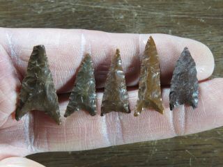 5 Late Prehistoric Gunther Triangular Points,  Red Jasper,  Coos Co.  Or X Anderson