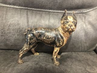 Antique Hubley Cast Iron Paint Boston Terrier Bulldog Door Stop
