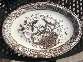 15.  5” Antique Brown Transferware Wedgwood Beatrice Aesthetic Turkey Platter