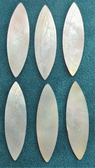 6 Antique Mother Of Pearl Gaming Counters Carved Oval Etched With Flowers 8