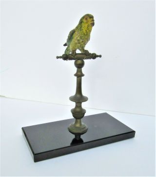 Antique Austrian Bronze Budgie Parakeet On Perch W/ Black Milk Glass Base