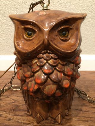 Rare Vintage And Good Looking Two Sided Owl Swag Hanging Lamp