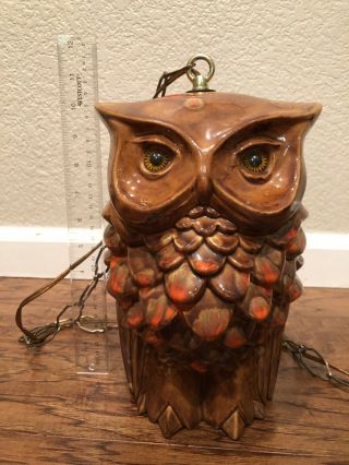 Rare Vintage and Good Looking Two Sided OWL Swag Hanging Lamp 2