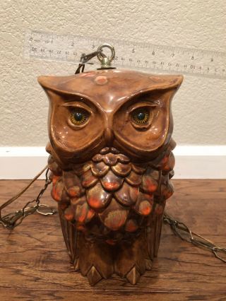Rare Vintage and Good Looking Two Sided OWL Swag Hanging Lamp 3