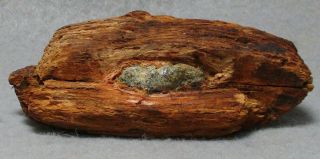 Civil War Relic Bullet In Pine Wood Found At Cold Harbor,  A Piece