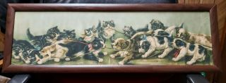 Vintage Seven Kittens & Seven Puppies Tug - Of - War Framed Print -