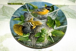 Knowles The Baltimore Oriole Kevin Daniel 1985 Collectors Plate Exc