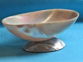 Antique/vintage Abalone Or Mother Of Pearl Shell Vessel On Shell Base