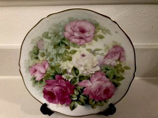 9” Antique Pt Bavaria Tirschenreuth Plate - Hand Painted Floral - Signed Camillo