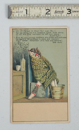 Injured Cat Sick Daisy Baking Powder Campbellsport Vintage Victorian Trade Card
