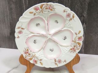 Antique French Oyster Plate 5 Well Hand Painted Porcelain 9 " Floral Pink
