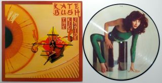 Kate Bush The Kick Inside Rare 12 " Vinyl Lp 1st Press Uk Picture Disc Inner Ex,
