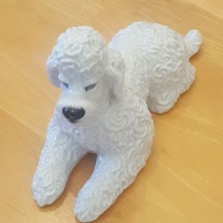 Rosenthal Porcelain Laying Poodle Dog Figurine Fritz Heidenreich Germany Vintage